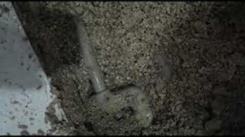 Tek fayansta kırmadan dökmeden su kaçak tespiti